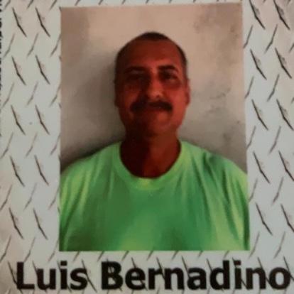 Luis M Bernardino-Perez
