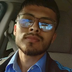 Ronaldo Vargas Govea
