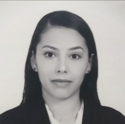 Cynthia Briseida Guzman Ibarra