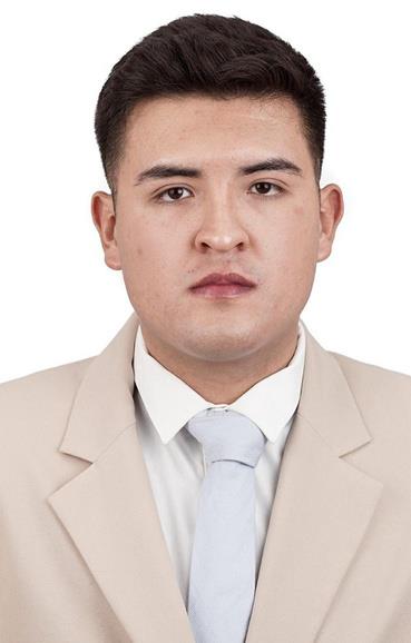 Luis Enrique Castillo Castillo