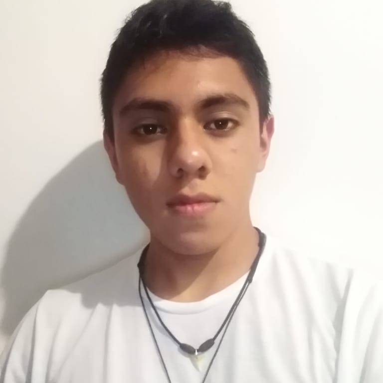 Victor Manuel Ramirez Vergara
