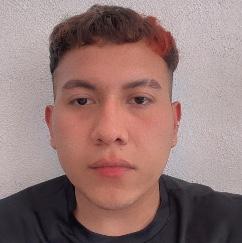 Miguel luis Ramos perez