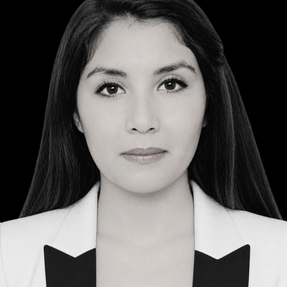 María Alejandra Vergara Alcántara