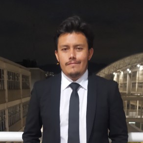 Diego Alonso Huerta Venegas
