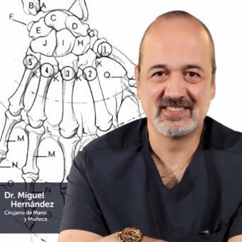 Miguel Angel Hernandez - Alvarez