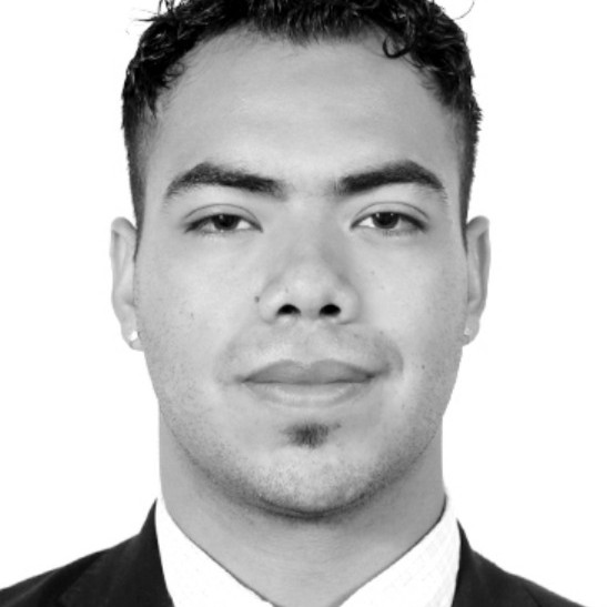 Ricardo Alexis Hernandez Medina