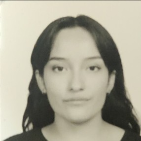Hannia Elizabeth Briseño Meléndez