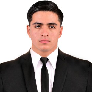 Francisco Manuel Wong Herrera