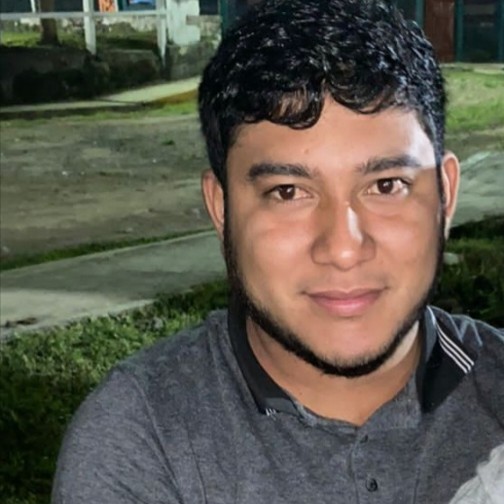 Misael Palacios vergara
