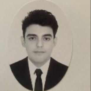 Luis Mario Avedillo Perez