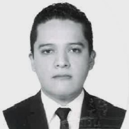 CARLOS MANUEL BÁRCENAS ÁNGELES