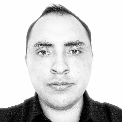 David Mireles Aguirre