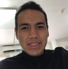 Rodrigo Antonio Limon Flores