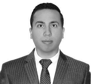 FERNANDO FRIAS VIZCARRA