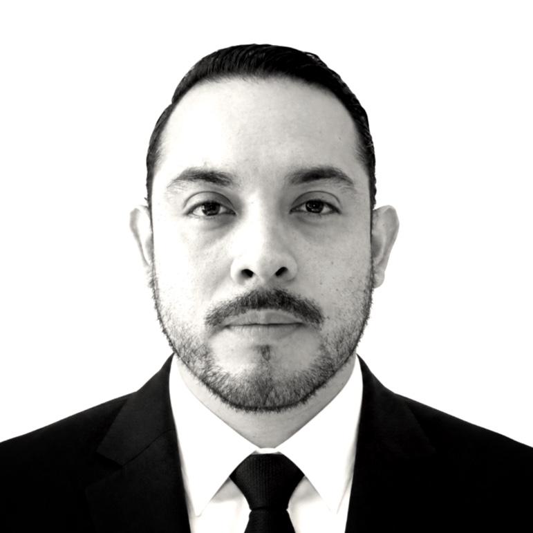 David Armando Palma perez