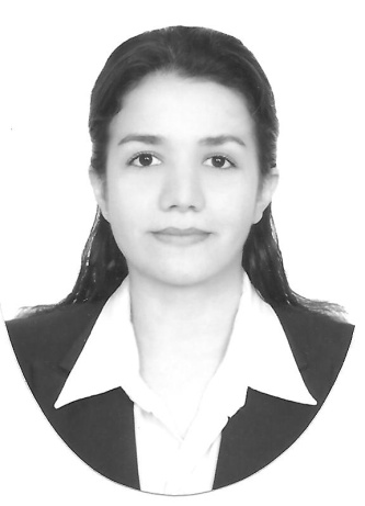 ALEJANDRA REGINA TOLEDO NAVARRETE