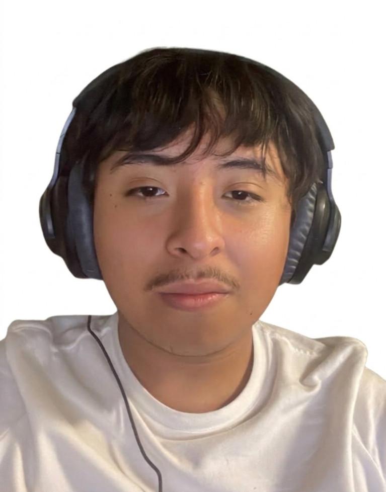 Jesus Leonardo Gamiz Barajas
