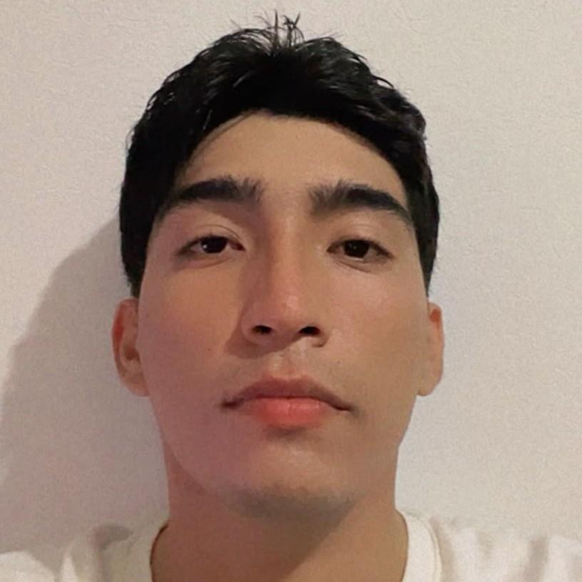 Raul Alejandro Delgado Martinez