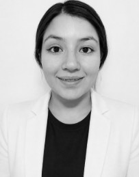 DAISY MARICRUZ MARTINEZ MORALES