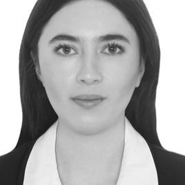 Mariana Villaseñor Vela