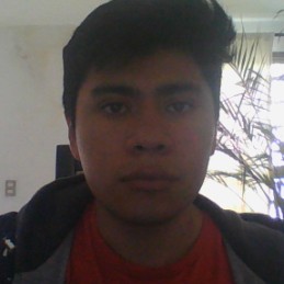 Brandon Alan Villegas Ortiz