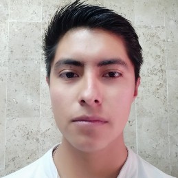 Erick Miguel Villanueva Millan