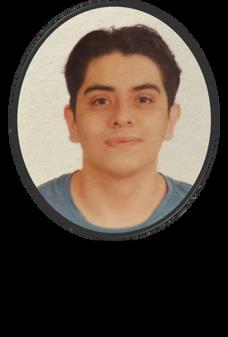 Diego Ivan Mezquitic Maldonado