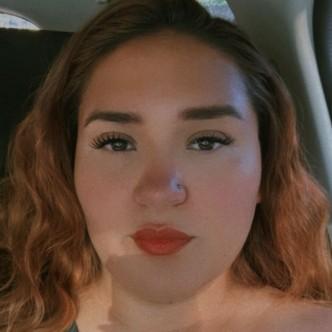 NAYELI ARACELI SANCHEZ CAMARILLO