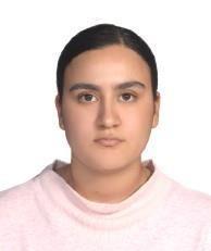 LIZETH DANIELA CASTRO CASTAÑON