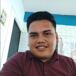 Alfredo Ramírez Ibarra
