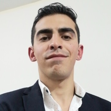 Néstor Arturo Díaz Pérez