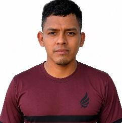 Ronaldo Valdés Castellanos