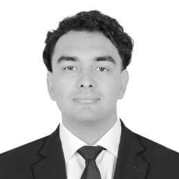 Roman Baqueiro Valencia