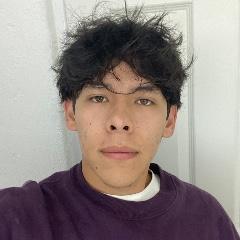 JAVIER SEBASTIAN DE JESUS JAUREGUI PRECIADO