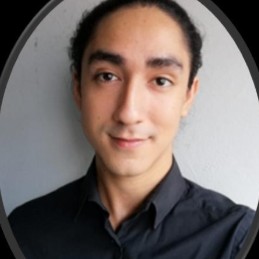 Fernando Javier Castrejon Farfan