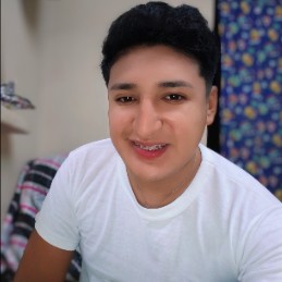 Bryan De Jesús Flores Cocuyo